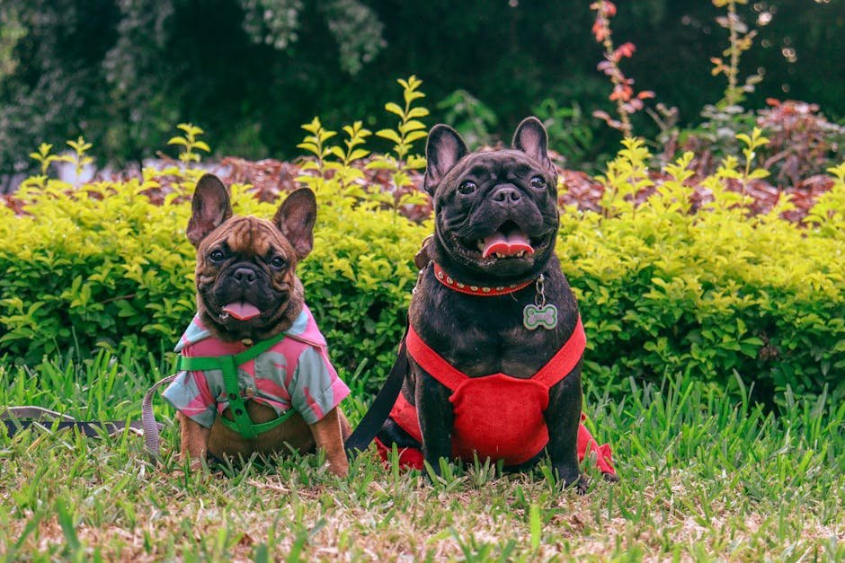 Great with Other Pets (image credits: pexels)