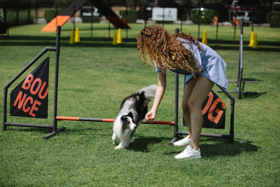 The Role of Professional Trainers (image credits: pexels)