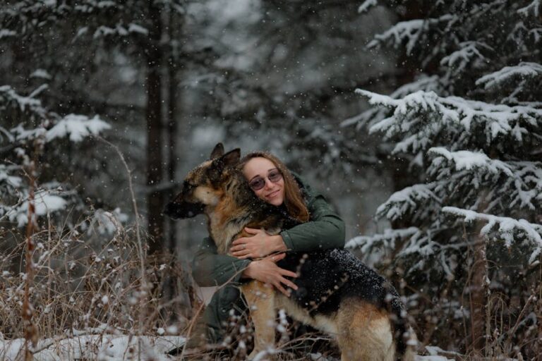 Why a German Shepherd's Loyalty Suits Owners Who Crave Structure