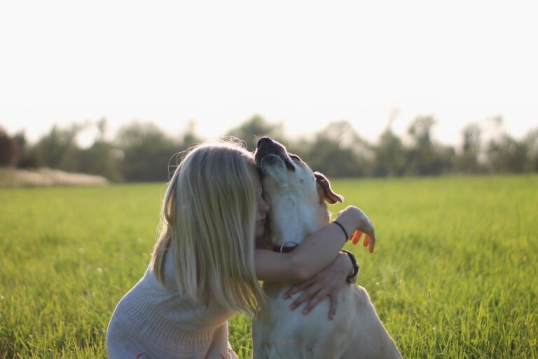 Why Labrador Retrievers Thrive in Homes Full of Chaos and Love