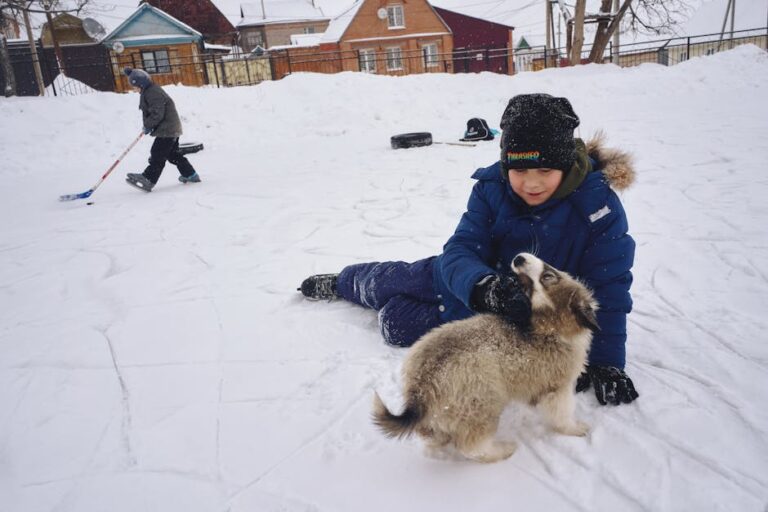 The Playful Nature of Dogs: Why Play is Essential for Their Well-Being