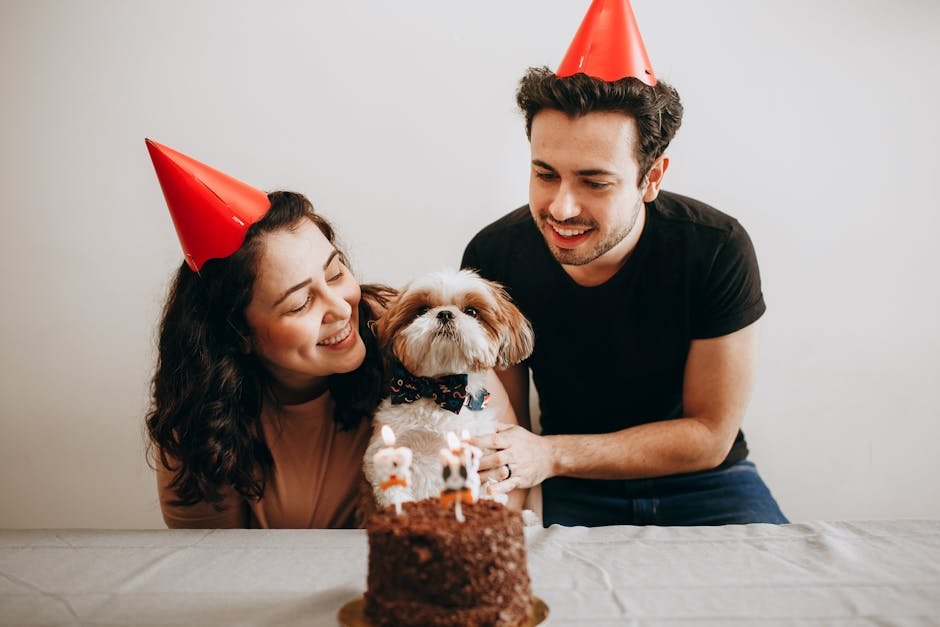 Shih Tzus and Family Life (image credits: pexels)