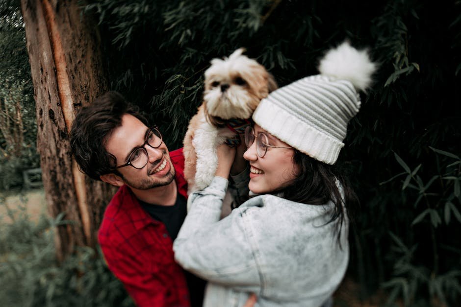 The Shih Tzu's Role in Emotional Support (image credits: pexels)