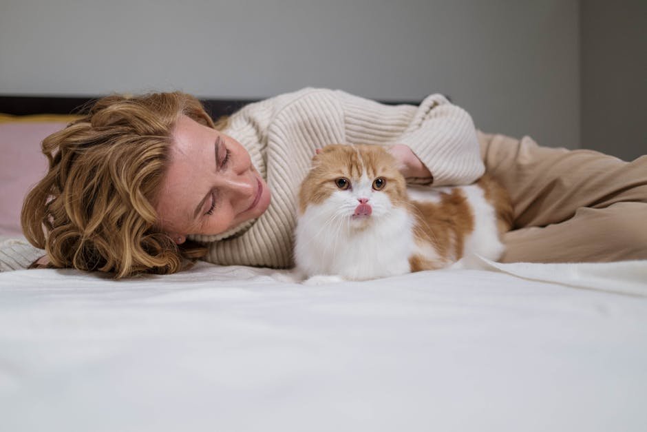 Scottish Fold: The Ear-Resistible Companion (image credits: pexels)