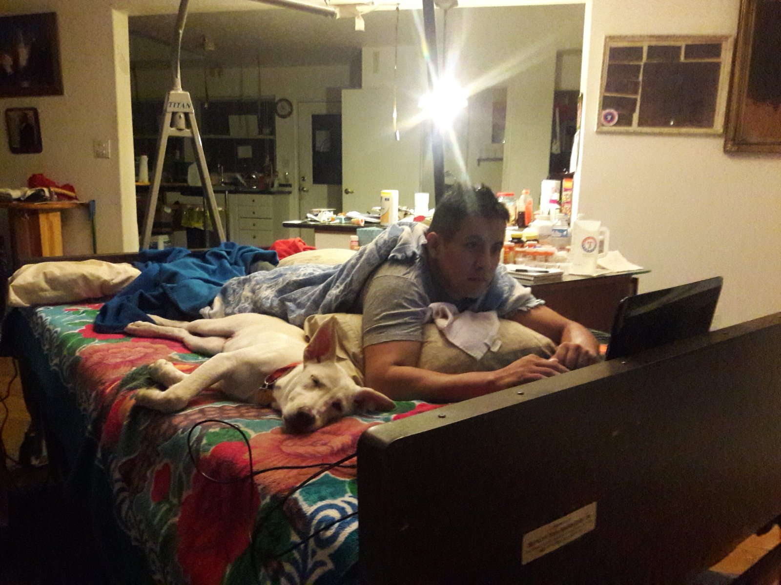 The Comfort and Security of Sharing a Bed (image credits: wikimedia)