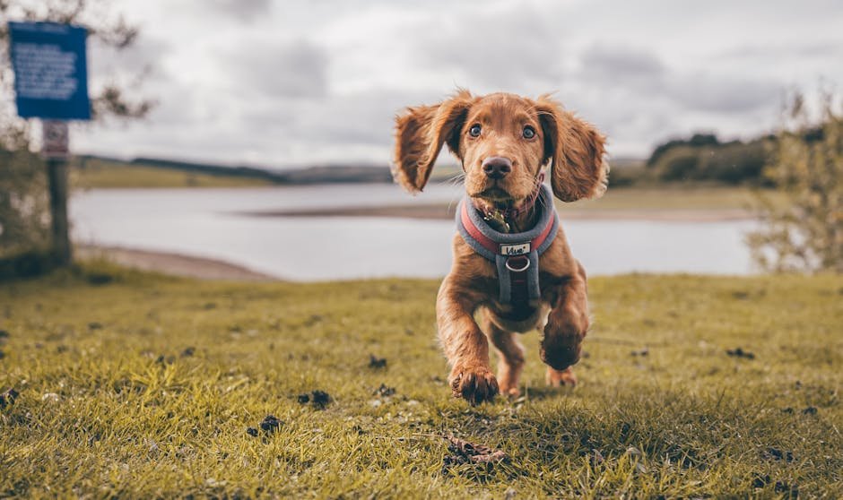 The Connection Between Curiosity and Exercise (image credits: pexels)