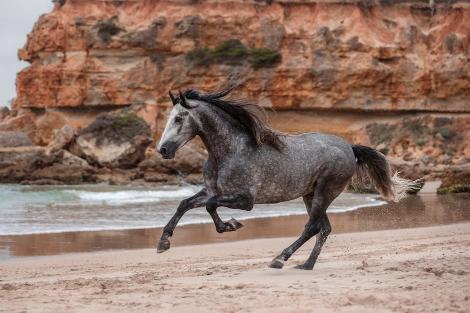 8 Ancient Horse Breeds That Still Exist Today