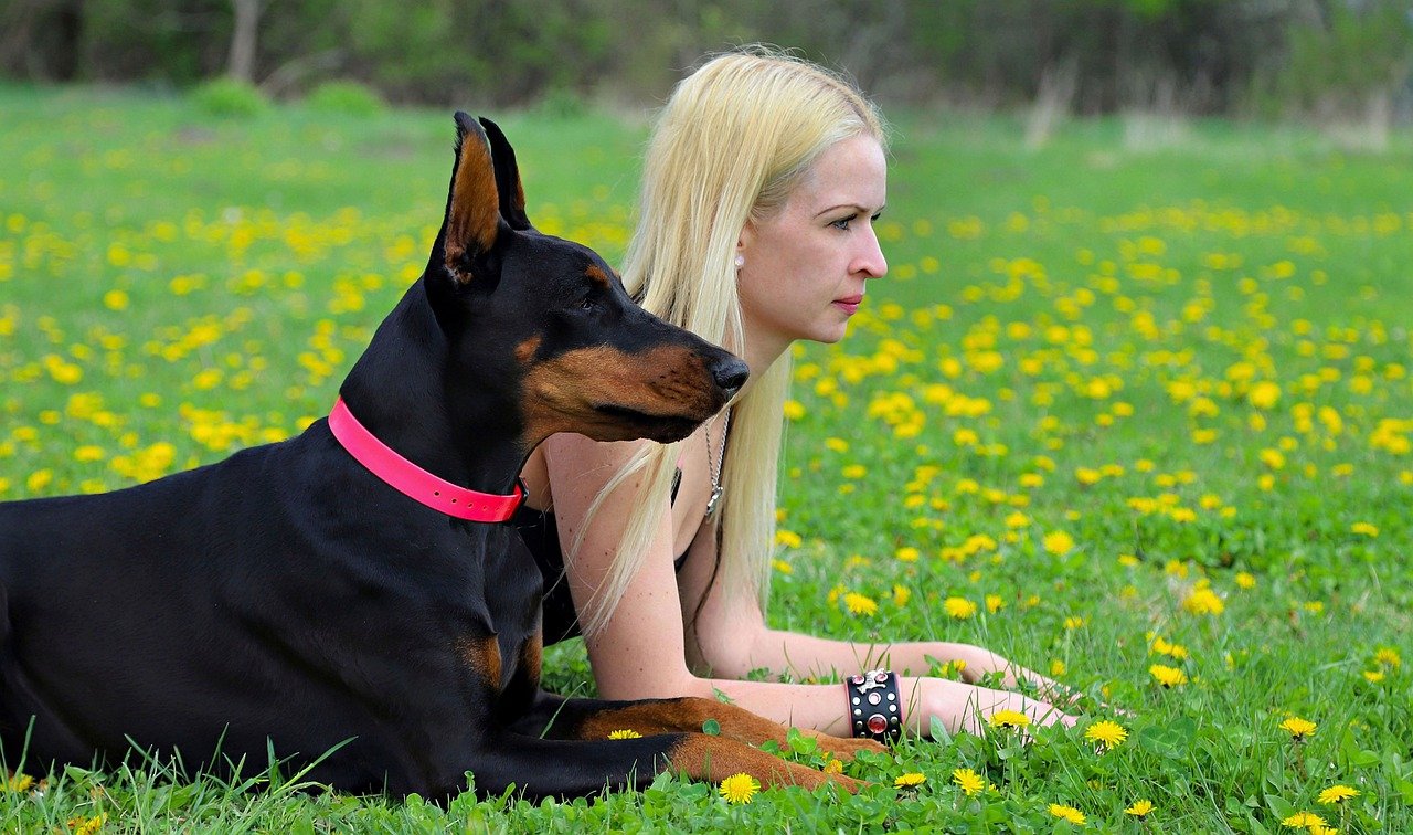 Innate Loyalty and Devotion (image credits: pixabay)