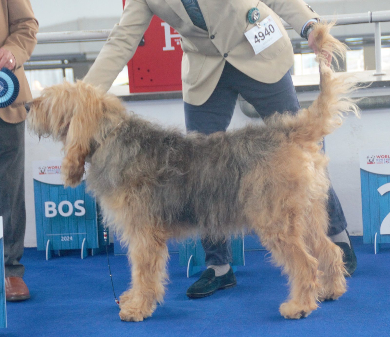 The Otterhound: The Water-Loving Hound (image credits: wikimedia)