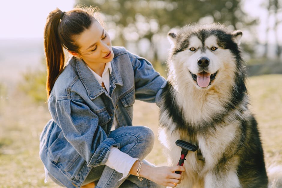 6. Regular Grooming Sessions (image credits: pexels)