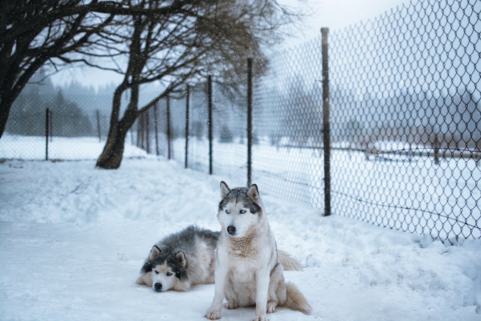 10. Protection from Extreme Weather (image credits: pexels)
