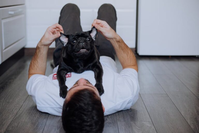 9 Pug Personalities That Light Up a Relaxed Home