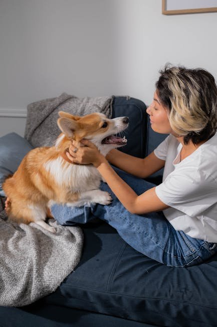 Affectionate and Loving (image credits: pexels)