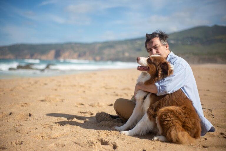 How the Border Collie's Brilliance Shines With Puzzle-Loving Humans