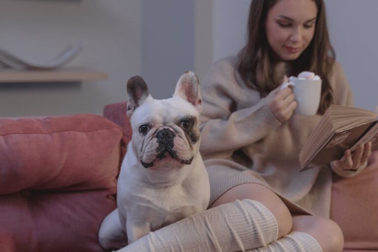 8 French Bulldog Charms That Fit a City Dweller’s Routine