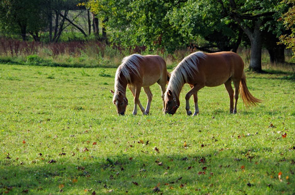 The Natural Grazing Instinct (image credits: pexels)