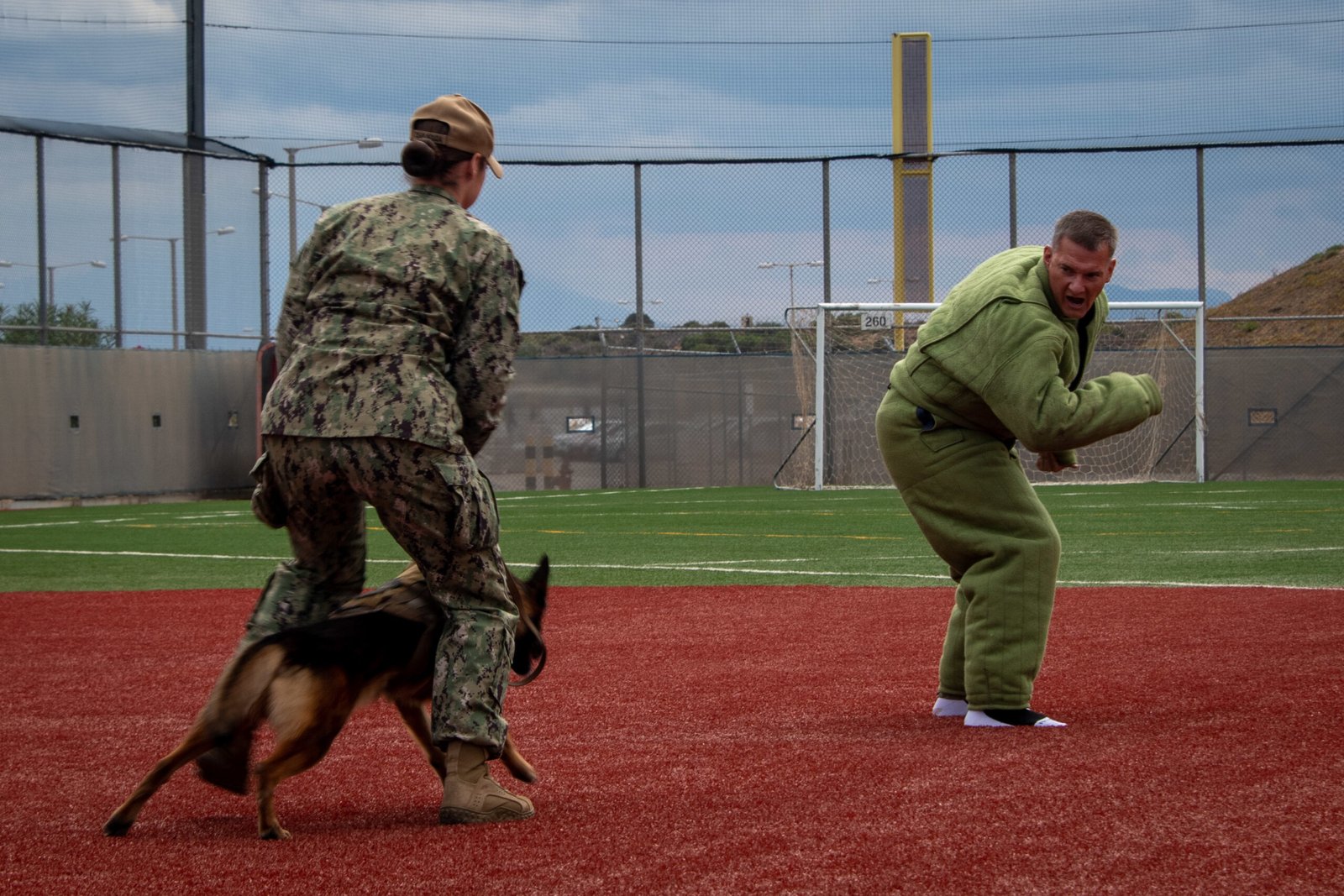 Legal Implications of a Dog Bite (image credits: wikimedia)