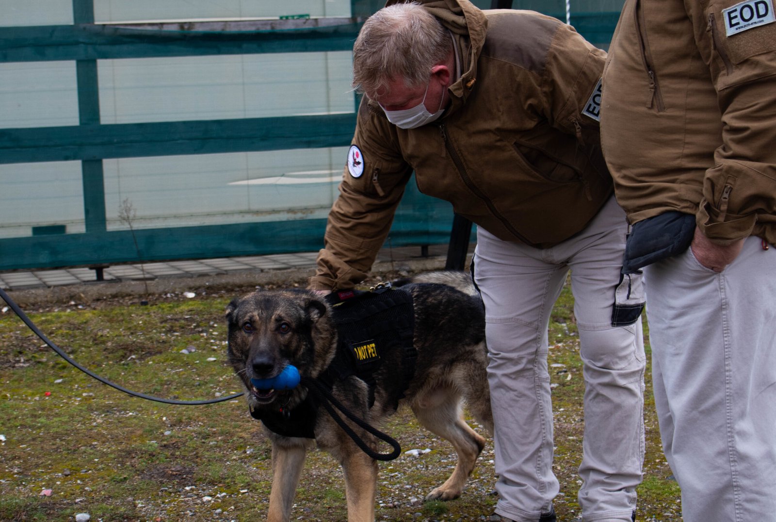 Creating a Safe Environment (image credits: wikimedia)