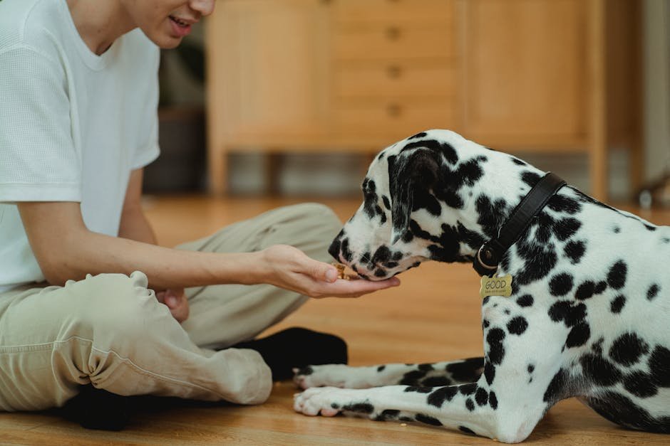 Using Positive Reinforcement (image credits: pexels)