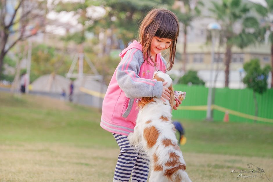 Cavalier King Charles Spaniel: The Regal Companion (image credits: pexels)