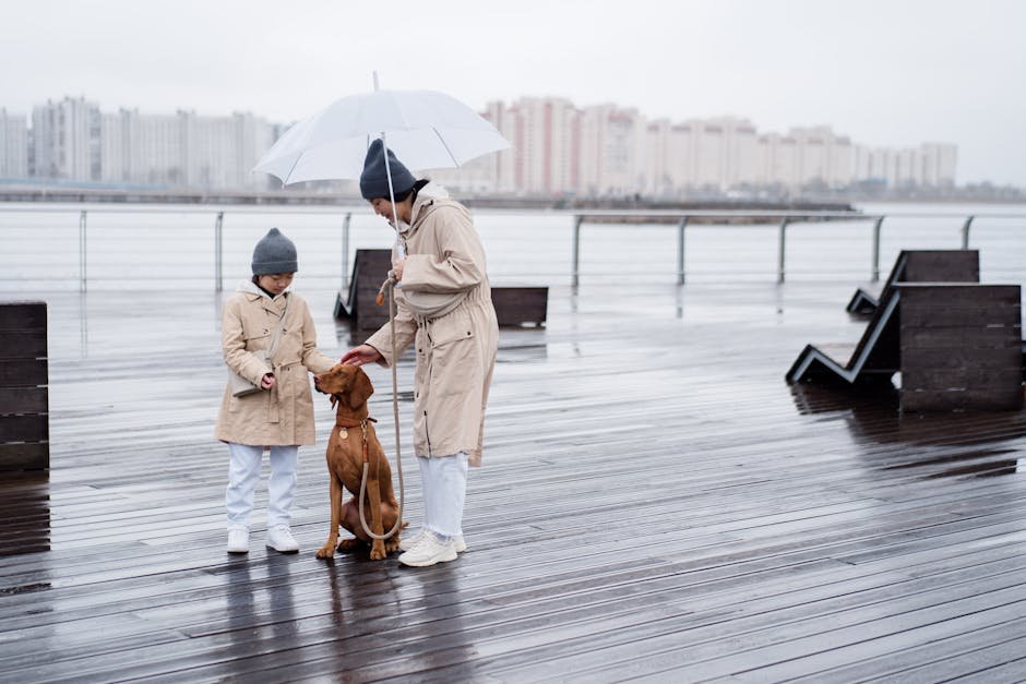 Vizsla: The Energetic Companion (image credits: pexels)