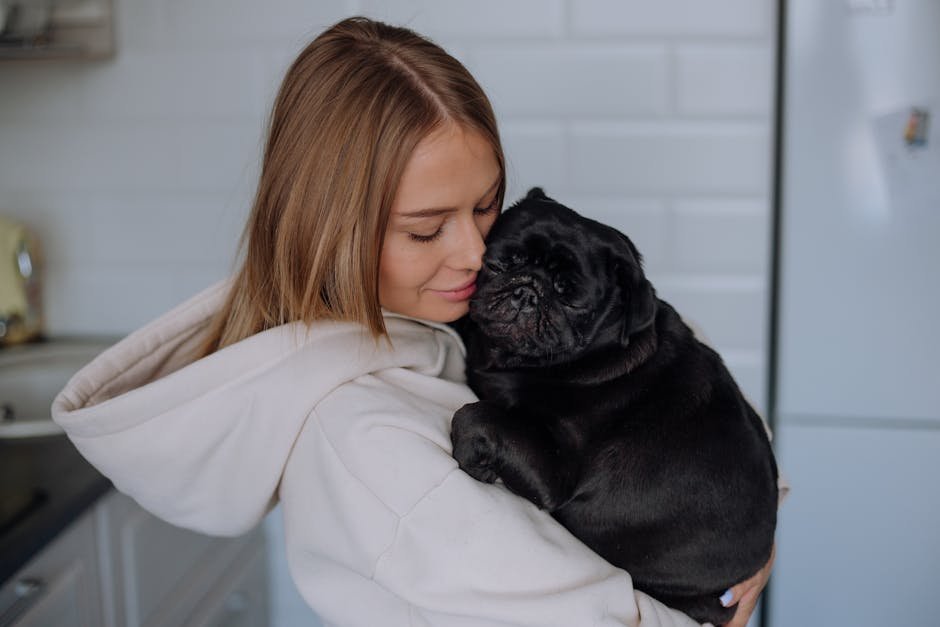 Emotional Support in a Small Package (image credits: pexels)
