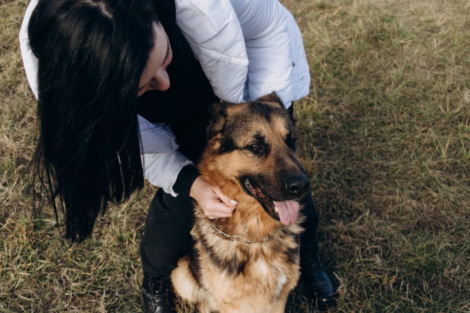 German Shepherd (image credits: pexels)