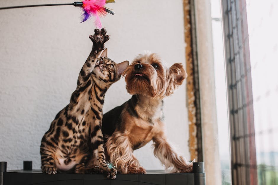 Socialization and Trust (image credits: pexels)