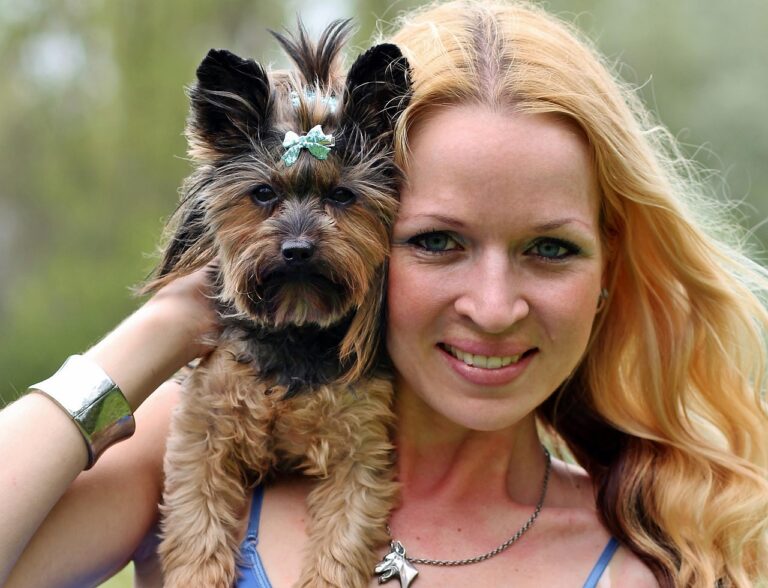 9 Yorkshire Terrier Demands That Bond Them to One Special Person