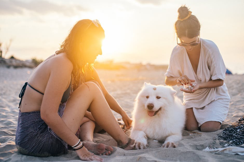 The Ideal Environment for a Samoyed (image credits: pexels)
