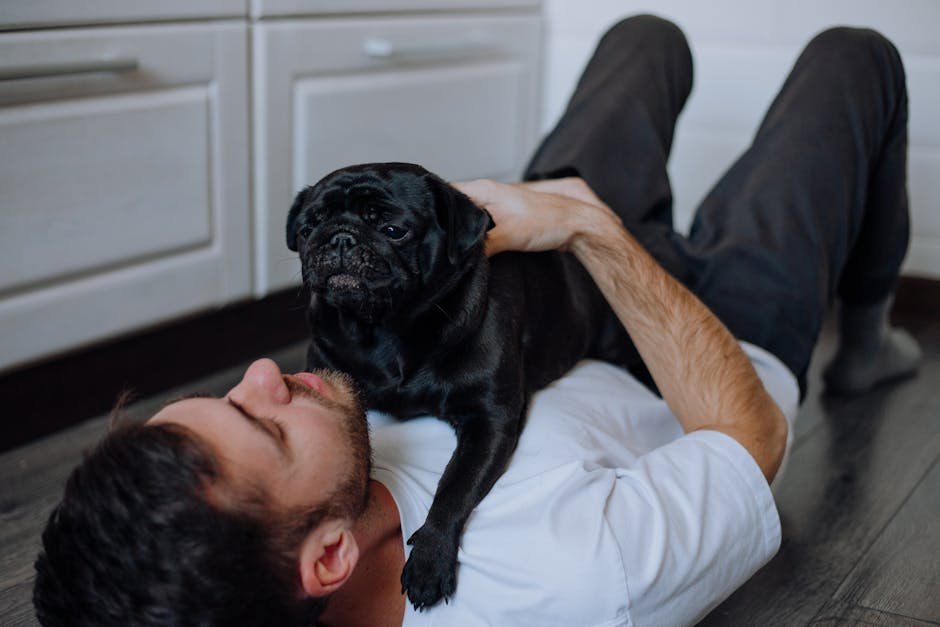 Clinginess or Seeking Constant Attention (image credits: pexels)