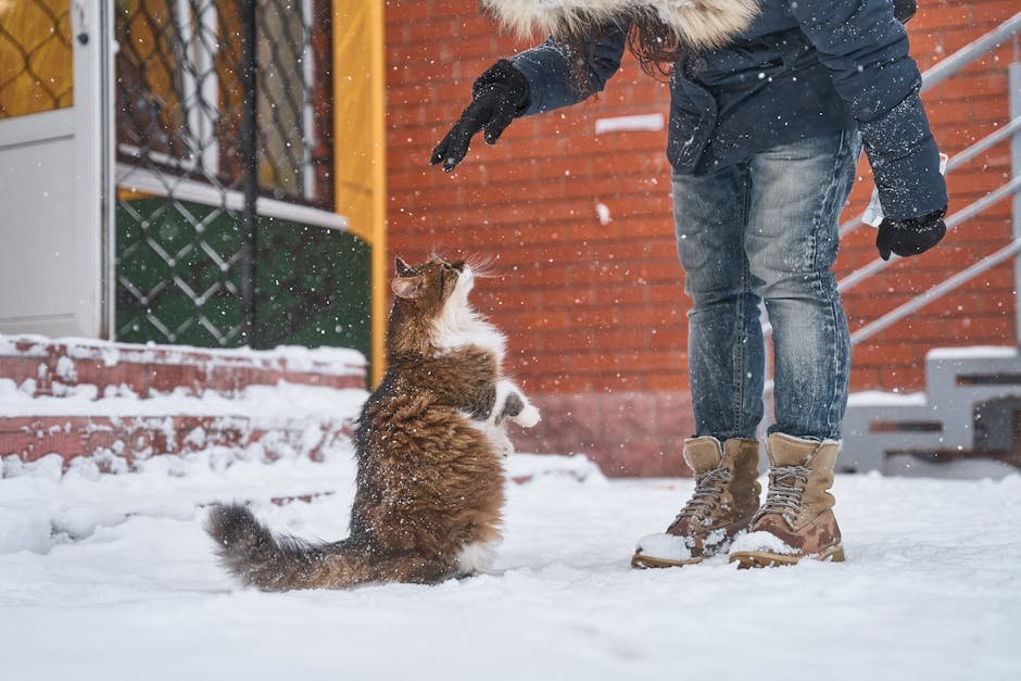 Playfulness and Activity Levels (image credits: pexels)