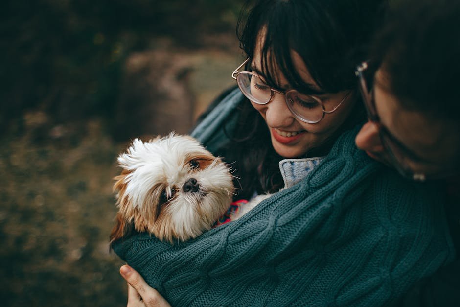 The Gentle Nature of Shih Tzus (image credits: pexels)