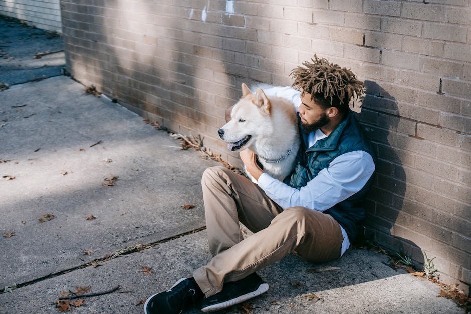 The Unwavering Gaze of Loyalty (image credits: pexels)