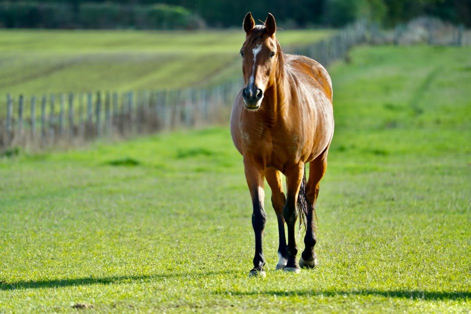 Adaptability to Different Environments (image credits: pexels)