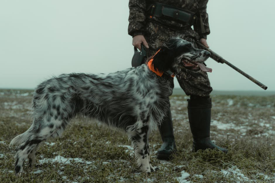 Strong Hunting Instincts (image credits: pexels)