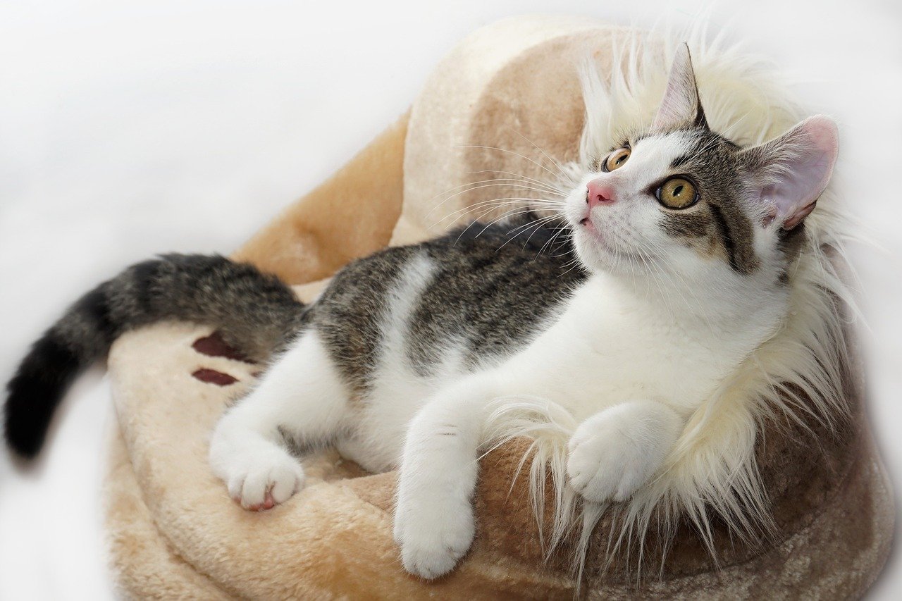 Be Patient and Consistent (image credits: pixabay)