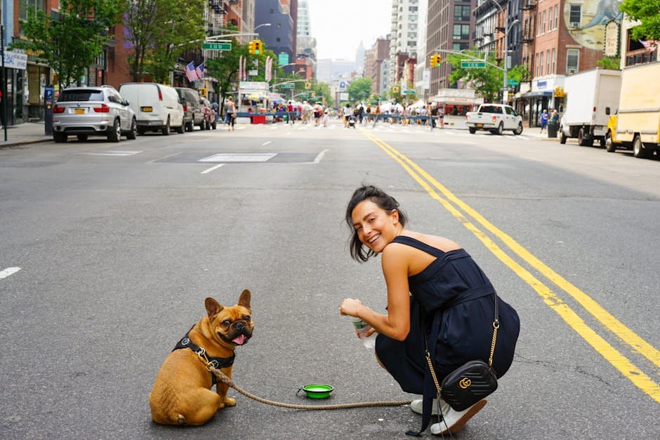 Affectionate Companions (image credits: pexels)