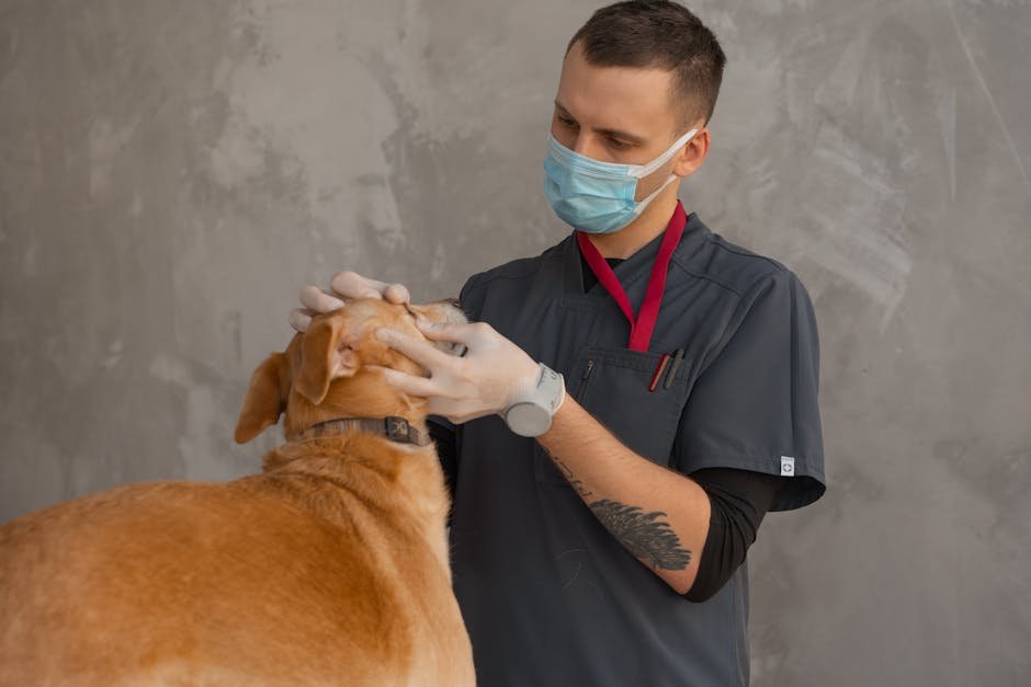 Monitor Your Dog’s Health (image credits: pexels)