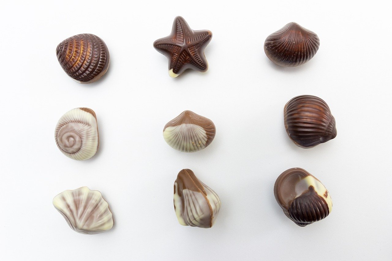 Chocolate: A Sweet Temptation with Bitter Consequences (image credits: pixabay)