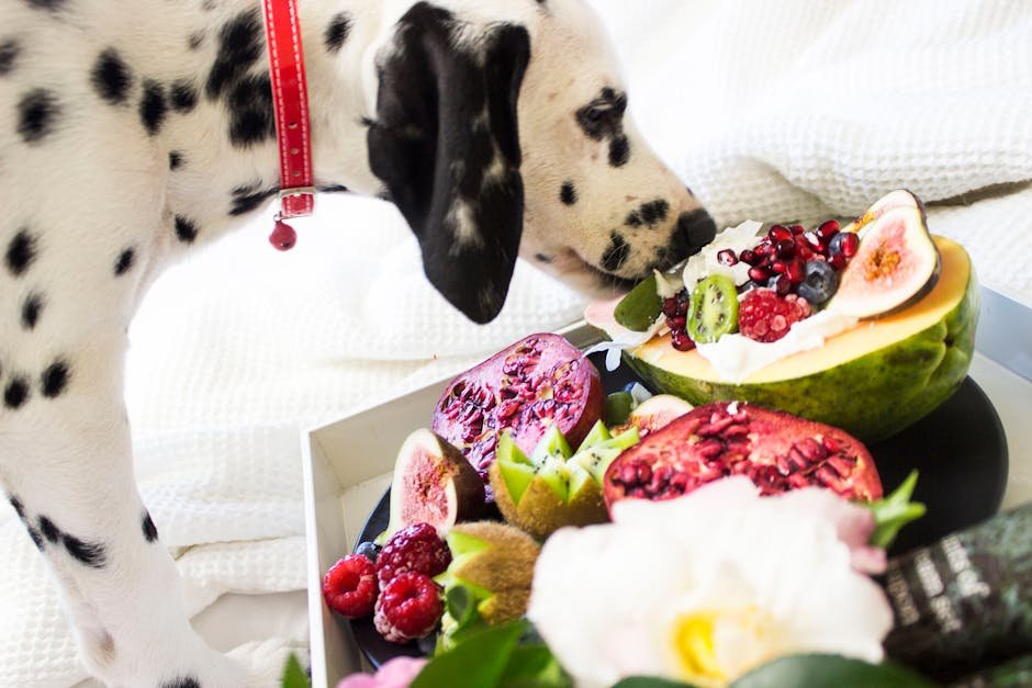 Grapes and Raisins: Tiny Fruits with Big Risks (image credits: pexels)