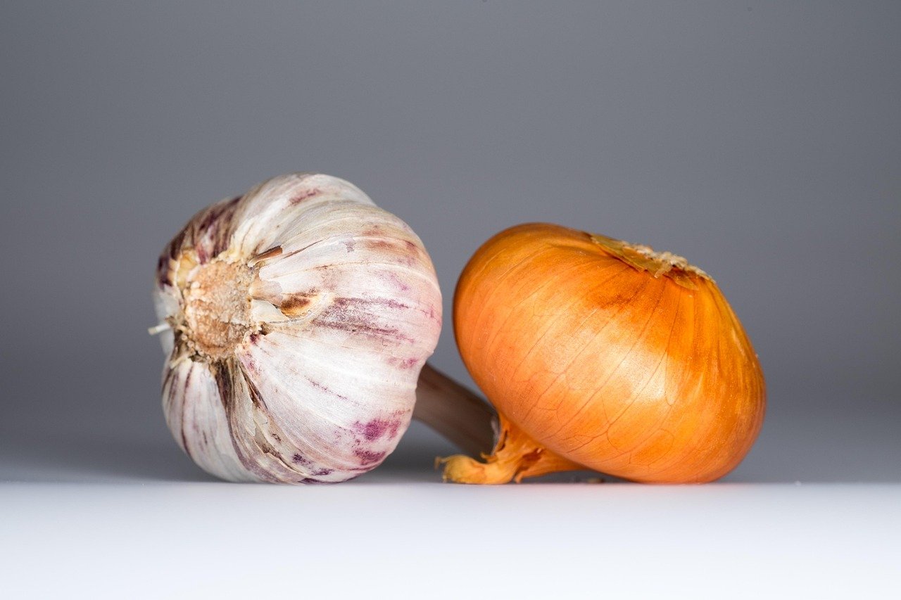 Onions and Garlic: Flavorful for Us, Toxic for Them (image credits: pixabay)