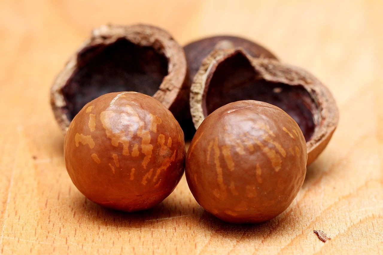 Macadamia Nuts: Small Nuts, Big Threats (image credits: pixabay)