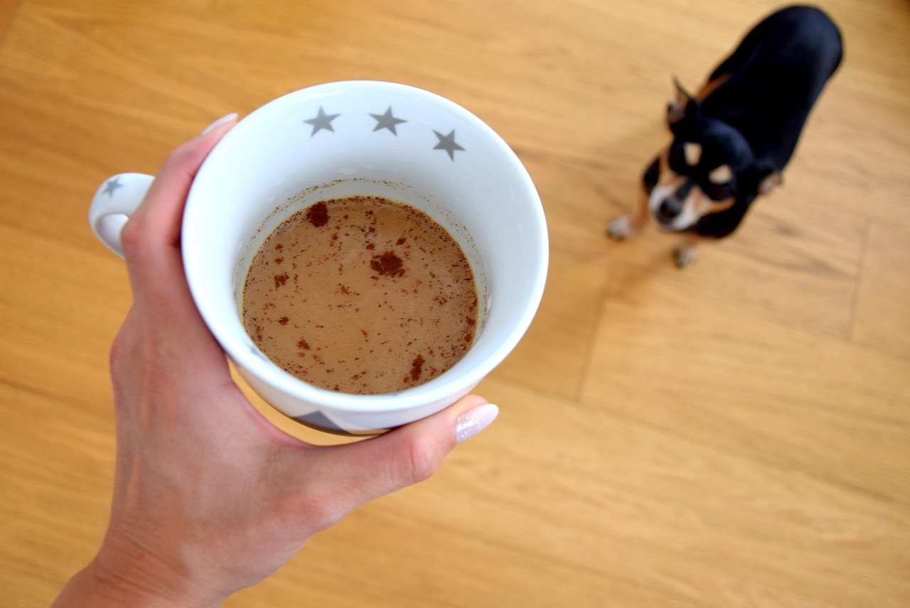 Caffeine: An Energizer for Us, Hazardous for Dogs (image credits: pixabay)