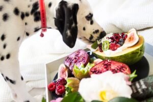 10 Foods That Might Seem Safe for Dogs But Aren't