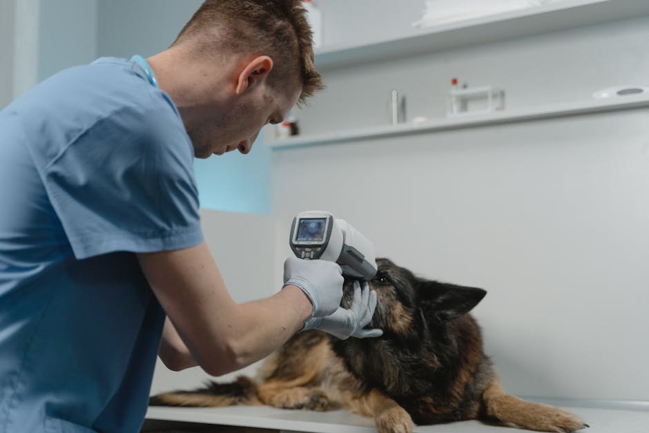 Health and Vet Visits (image credits: pexels)