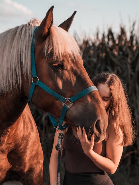 Communicating With Their Eyes (image credits: pexels)