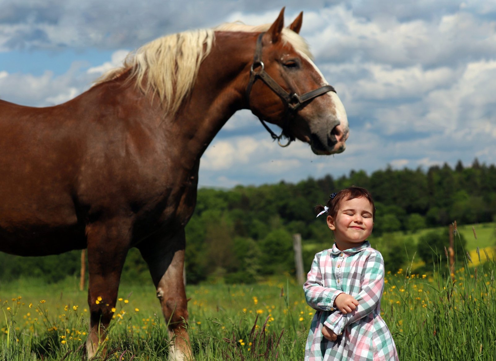 8 Ways Horses Show They’re Your Soulmate