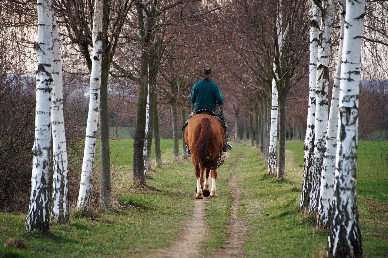 Historical Significance: Timeless Companions (image credits: pixabay)