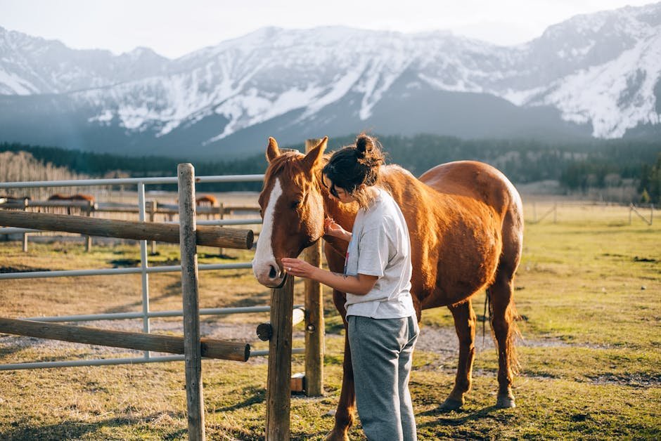 A Lifestyle of Passion: The Equine Community (image credits: pexels)